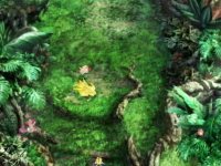 Click Here To Enlarge!